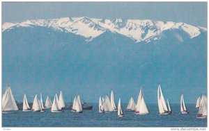 Sailboats and the Olympic Mountains, Victoria, British Columbia, Canada, 40-60s