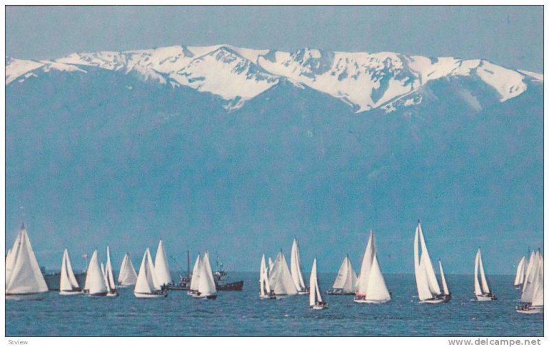 Sailboats and the Olympic Mountains, Victoria, British Columbia, Canada, 40-60s