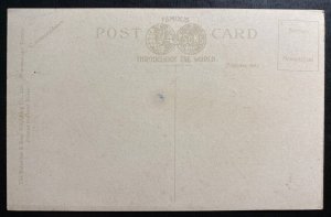 Mint Western Canada Color Picture Postcard Branding Cattle