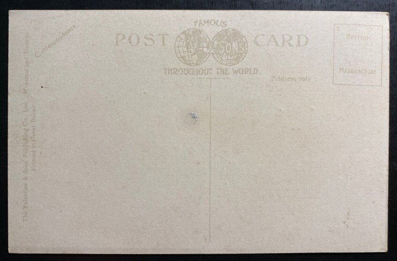 Mint Western Canada Color Picture Postcard Branding Cattle