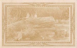 Gorham Massachusetts Children On Fallen Tree Real Photo Antique Postcard K73019