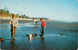 Children Razor Clam Digging Washington Oregon Beaches Unused Postcard H20