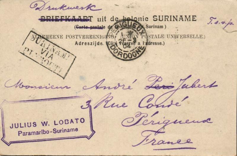 suriname, PARAMARIBO, Jodenbreedestraat, Shed Royal W.I. Mail Service 1904 Stamp