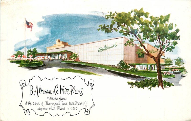 Postcard 1956 New York White Plains Altman's Department Store Harrison NY24-407