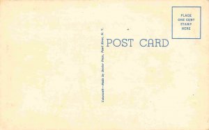 Taking Some Hot Shots Bathing Beauty Model Camera Photographer linen postcard