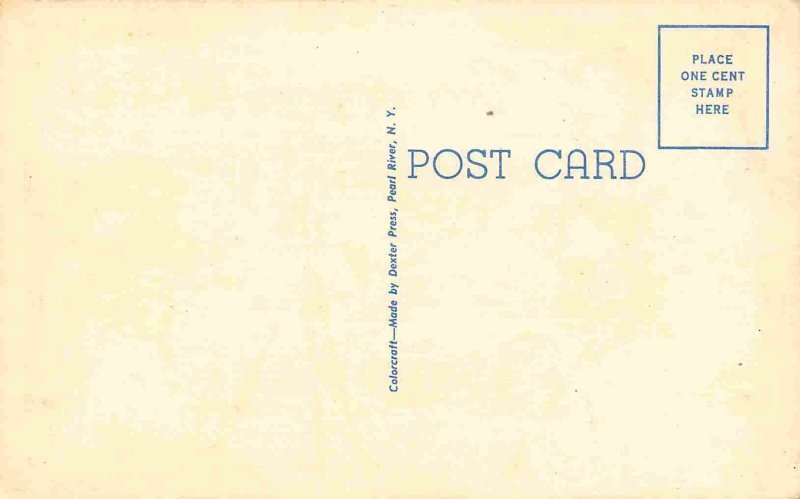 Taking Some Hot Shots Bathing Beauty Model Camera Photographer linen postcard