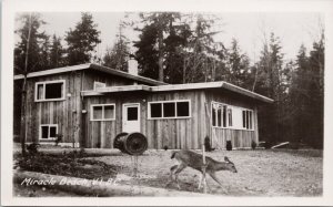 Miracle Beach BC Vancouver Island Deer Building Unused RPPC Postcard H61