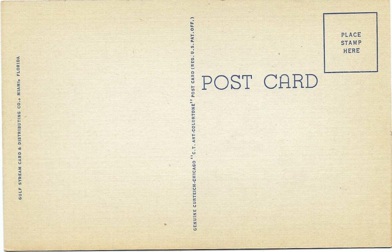 Tropical Miami Beach from Indian Creek Florida