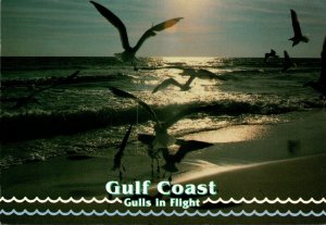 Mississippi Ocean Springs Seagulls In Flight Along The Gulf Coast