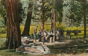 Mitchell Postcard 1806 Camp Among The Pines Hunting Camp With Rifle & Shotgun
