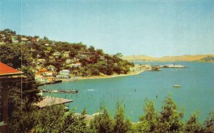 SAUSALITO California CA  WATERFRONT HOMES~PIER Bird's Eye View MARIN CO Postcard