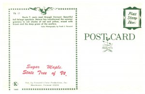 Postcard Sugar Maple - State Tree of Vermont