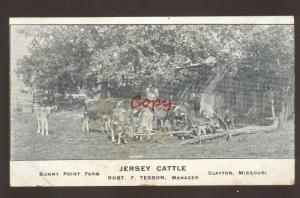 CLAYTON MISSOURI JERSEY CATTLE FARMING SUNNY POINT FARM ADVERTISING POSTCARD