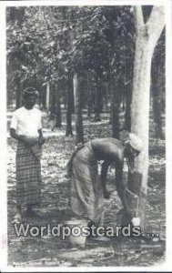 Real Photo Tapping Rubber Tree Malaya, Malaysia Unused 