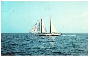 Schooner Mary Day Weekly Maine Cruise Postcard Posted Rockland 1972