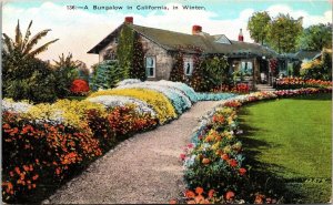 Bungalow California Winter CA Postcard UNP VTG Unused Vintage 
