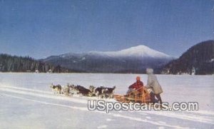 Husky Dog Team - Misc, Alaska AK  