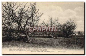 Old Postcard Tree Between Lassigny and Dives trees cuts Militaria