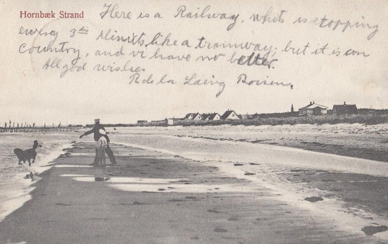 Dog Playing Fetch at Hornbaek Strad Denmark Old Postcard