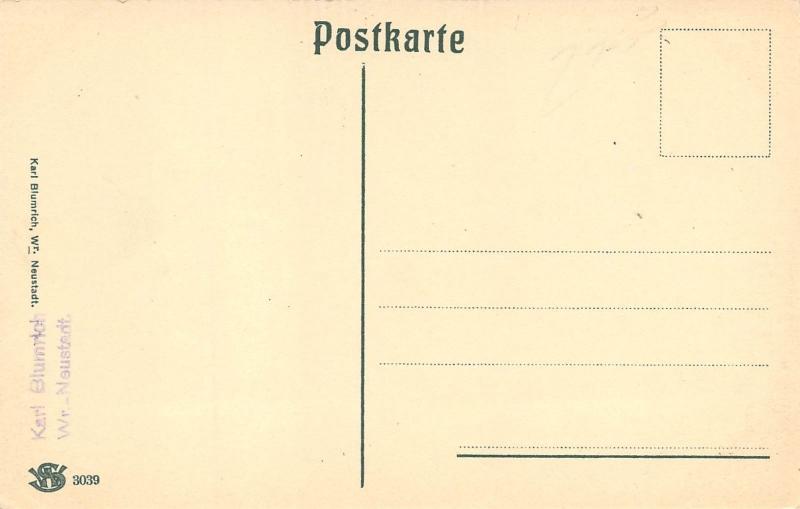 Wiener Neustaft Austria c1910 Postcard Birdseye City View