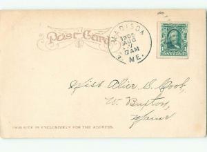 1905 MOTHER HOG PIG WITH PIGLETS ON BACK AC5843