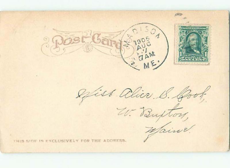 1905 MOTHER HOG PIG WITH PIGLETS ON BACK AC5843