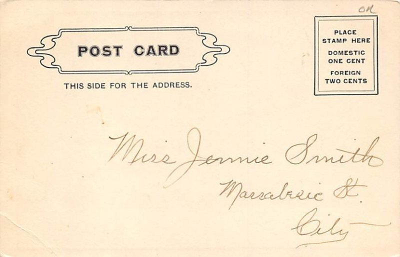 Turning over A New Leaf Year Date 1907 Postcard