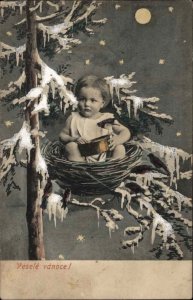 Christmas Fantasy Child in Bird's Nest Vesele Vanoce Czech c1910 Postcard