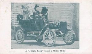 Frank Bostock American Circus Animal King Transport Postcard