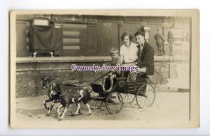 ch0285 - Boy plays with a Miniature Horse & Carriage with Mum & Dad - postcard