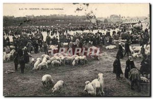 Old Postcard Rennes On Cattle Pigs Pigs TOP