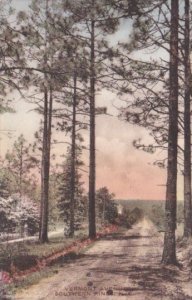 North Carolina Southern Pines Vermont Avenue Handcolored Albertype