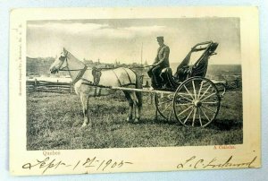 Vintage Postcard Quebec A Caleche Man on Carriage Pulled White Horse Post 1905