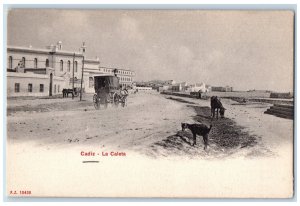 c1905 Cadiz La Caleta Spain Horse Carriage Cleveland Public Library Postcard 