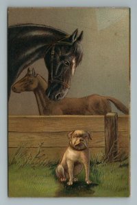 1908 Bulldog Horse Mare Foal Black Brown Embossed Farm Fence Cute Postcard 