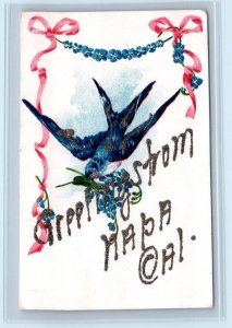 Greetings From NAPA, CA California ~ Bird & Ribbon  c1900s Napa County Postcard