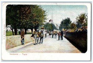 c1905 Trgnja Vendemia Hérault Occitanie France Unposted Antique Postcard