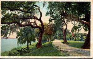 Florida Ormond Beach River Drive 1915 Detroit Publishing