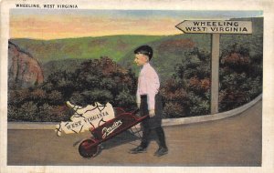 Wheeling West Virginia 1930-40s Postcard Boy With Wheelbarrow