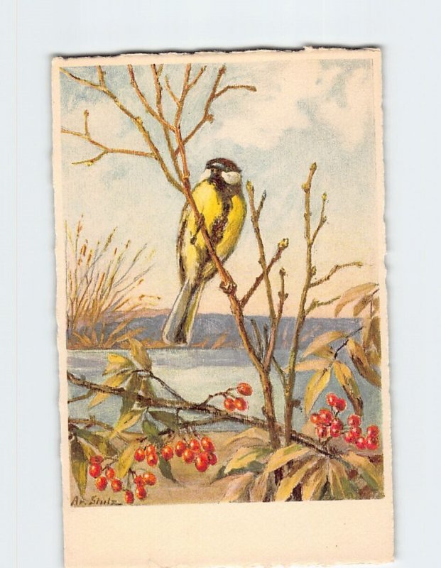 Postcard Bird Branches Plants Painting By Ar. Stutz