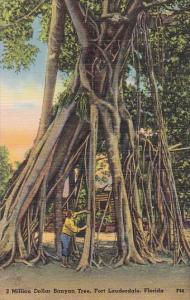 Florida Fort Lauderdale 2 Million Dollar Banyan Tree