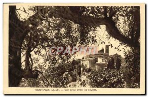 Old Postcard Saint Paul View taken between olive trees