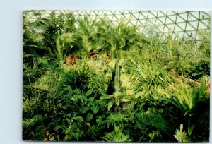 M-17317 Bloedel Conservatory Queen Elizabeth Park Vancouver B C Canada