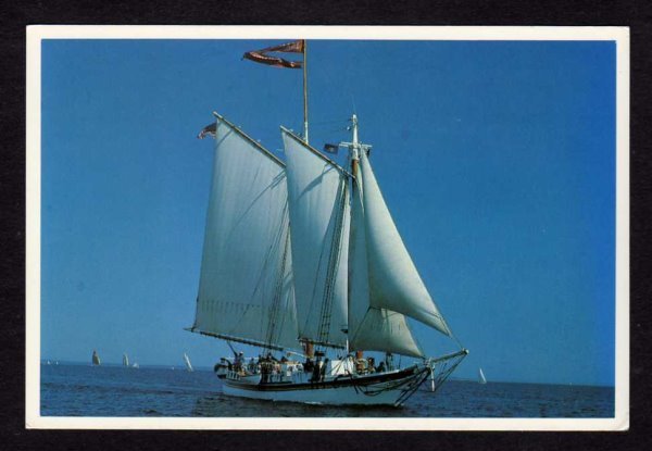 ME Schooner Sailboat The Isaac H Evans Rockland Maine Douglass Lee Postcard