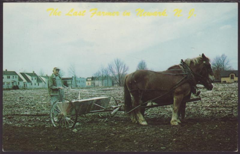 The Last Farmer in Newark,NJ