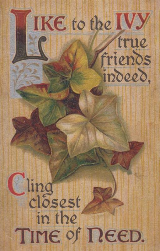 Like To The Ivy True Friends Cling Together Proverb Antique Friendship Postcard