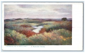 1903 A Nantucket Swamp Massachusetts MA Henry S Wyer Unposted Postcard