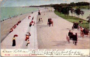 Illinois Chicago Lincoln Park Lake Shore Drive 1906