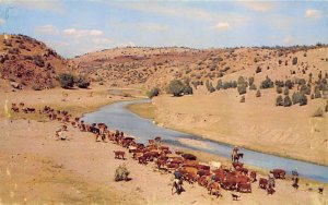 Watering the Herd Misc, South Dakota SD