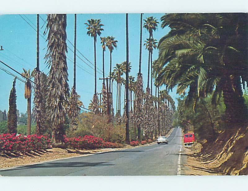 Unused Pre-1980 STREET SCENE Riverside - Los Angeles California CA hp1746